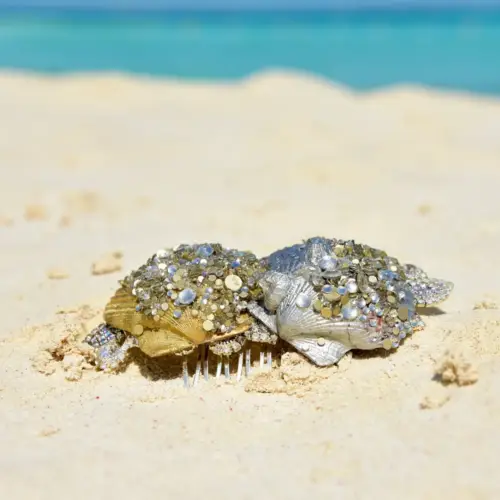 Handmade Sparkling Seashell Hair Clip